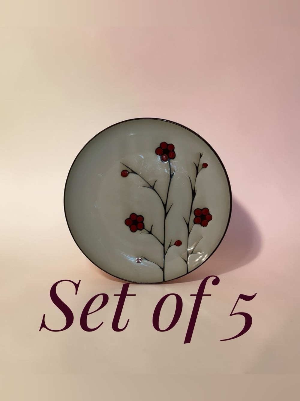 JESSICA MCCLINTOCK PFALTZGRAFF STUDIO Aster Red Flower Dinner Plates Set of 5